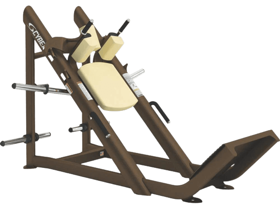 Cybex Hack Squat machine